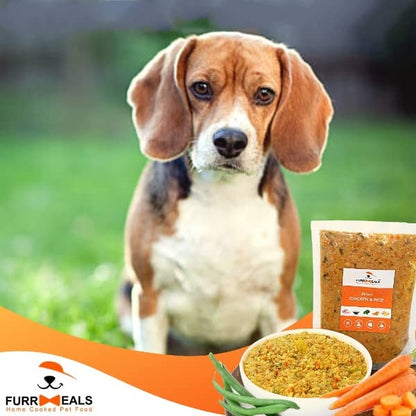 FurrMeals Wet Dog Food | Herbed Chicken and Rice | Pack of 1 x 500g | All Breed | Gluten Free | Preservative Free | Ready-to-Eat Fresh Dog Food