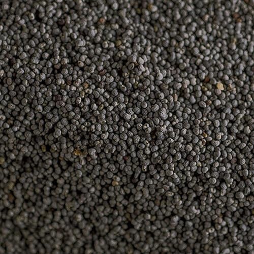 Close-up of dark gray textured material