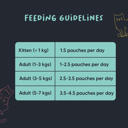 Meowsi by HUFT Tuna & Shrimp Pate Wet Cat Food - 80 gm | Delicious & Creamy Food for Persian & All Breeds | Rich in Omega-3, Essential Nutrients & Hydration for Optimal Health