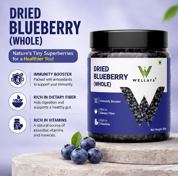 WELLAYA Premium Blueberry | Dry Fruit | High Nutrient and Antioxidant | Healthy & Tasty Whole & Dried Blueberry | Rich in Calcium and Vitamin K | Vegan