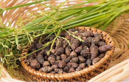 namo organics - Nagarmotha Root 100gm (Raw) | Nagarmotha | Cyperus Rotundus Rhizome | Cyperus Rotundus Rhizome - Nut Sedge Root - Pure & Natural (100 Grams)