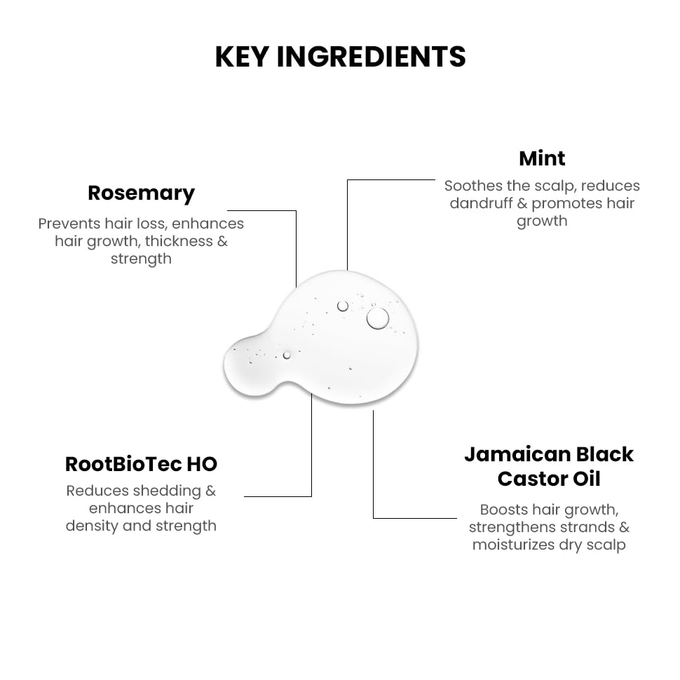 Diagram of key ingredients for a hair care product with labels and descriptions.