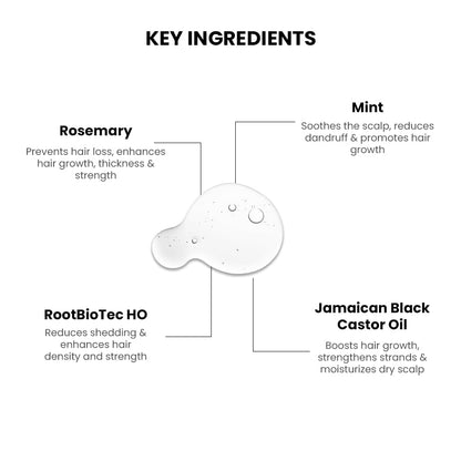 Diagram of key ingredients for a hair care product with labels and descriptions.