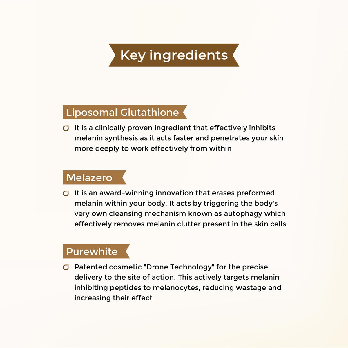 List of key ingredients with descriptions on a white background