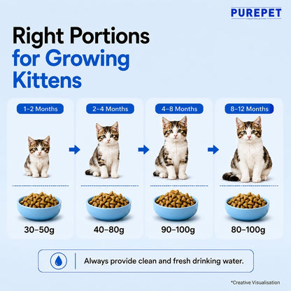 Purepet Kitten Dry Cat Food 1.2kg | Ocean Fish Flavour | Supports Active Behaviour | Hairball Control | Urinary Tract Health | Nutrient-Rich with Essential Minerals