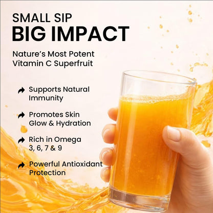 Growfitz Sea Buckthorn Pulp Concentrate 1L + Wild Forest Honey (Pouch) — Rich Natural Vitamin C, Antioxidants & Omega-7 | Cold-Pressed | Supports Immunity, Skin Glow & Gut Health | No Added Sugar