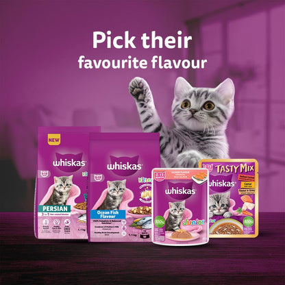Whiskas Junior Kitten (2-12 Months) Wet Cat Food, Salmon in Jelly Flavour, 80 g, Hydrating Food Made with Real Fish, 100% Complete & Balanced Nutrition for Kittens