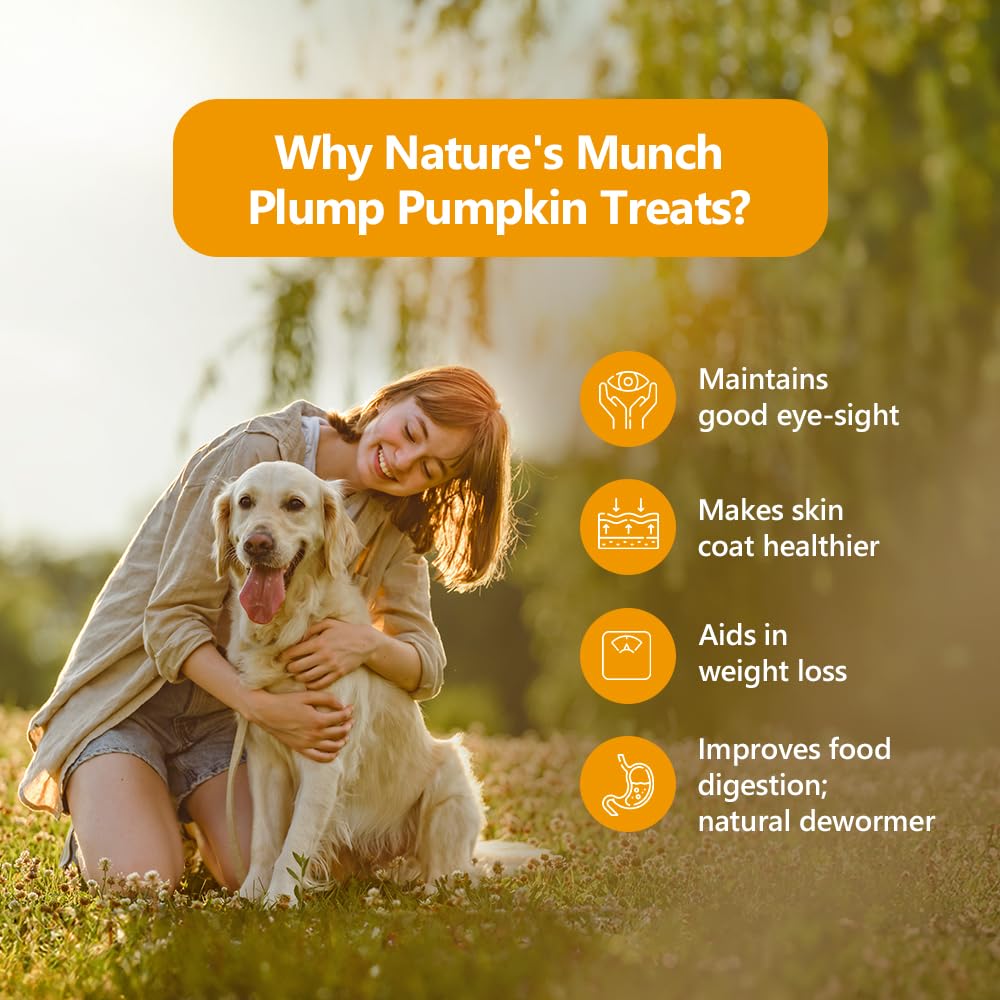 Pawfect Treats Nature's Munch Freeze-Dried Finest Pumpkin Treats for Dogs | Hypoallergenic Dog Treats, Grain-Free | Healthy Dog Treats (20 G),All Life Stages