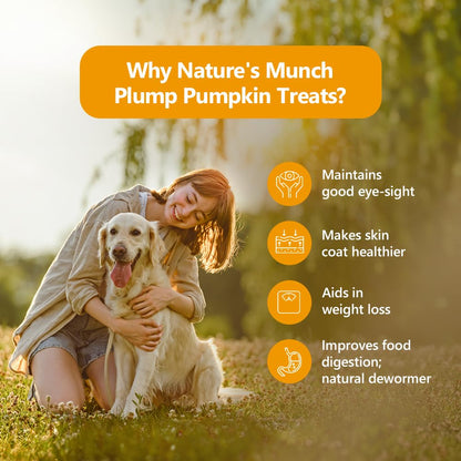 Pawfect Treats Nature's Munch Freeze-Dried Finest Pumpkin Treats for Dogs | Hypoallergenic Dog Treats, Grain-Free | Healthy Dog Treats (20 G),All Life Stages