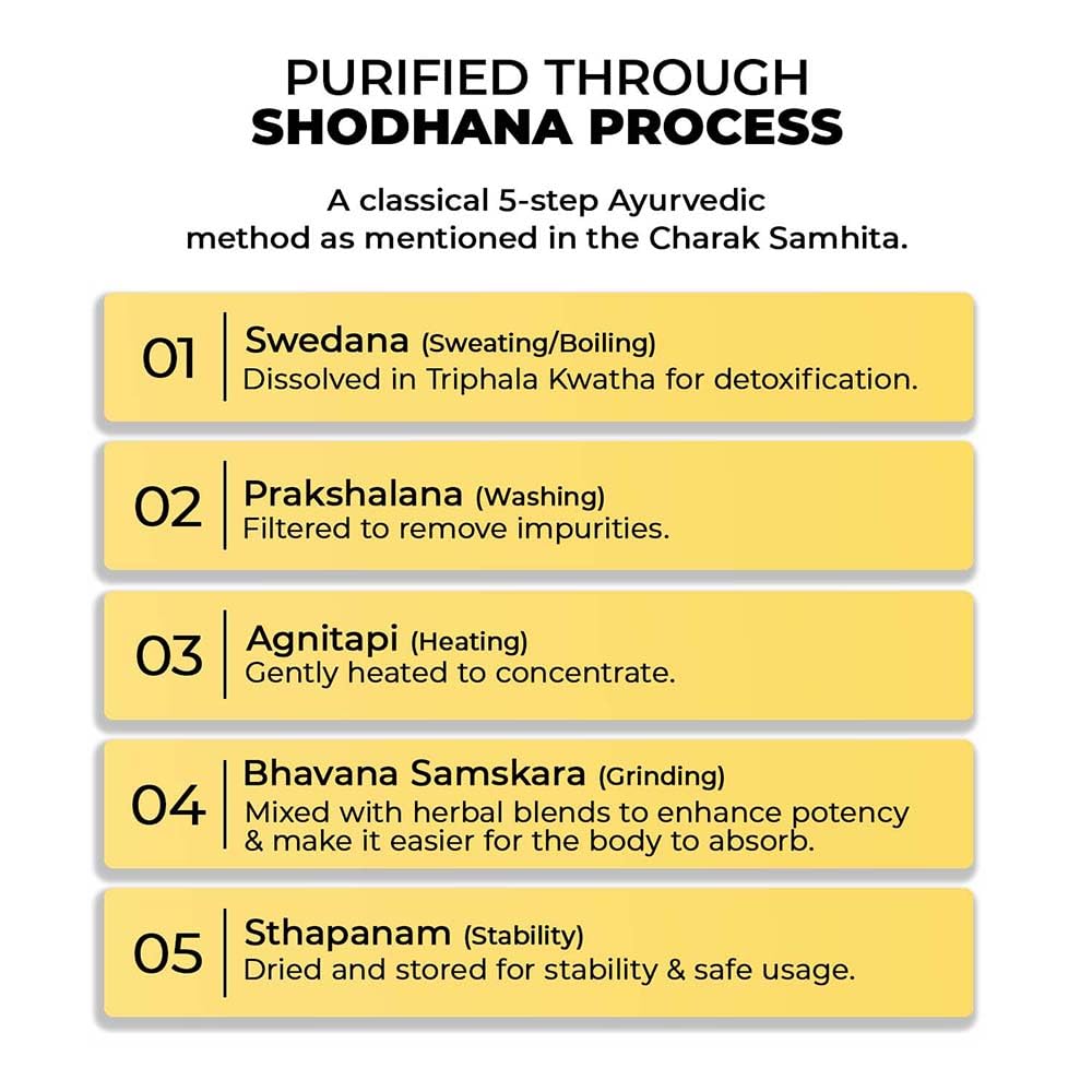 Infographic detailing the Shodhana process for purifying Ayurvedic formulations.