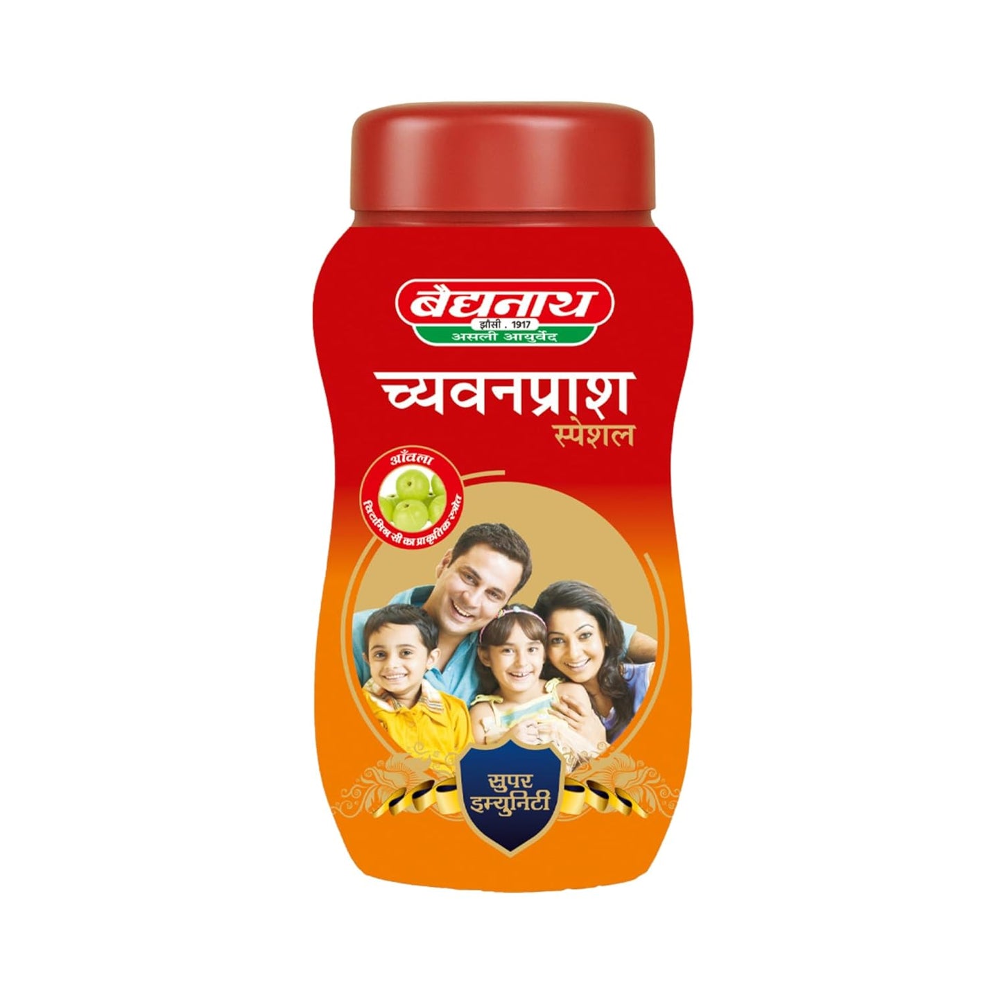 Baidyanath Jhansi Chyawanprash Special - 500g