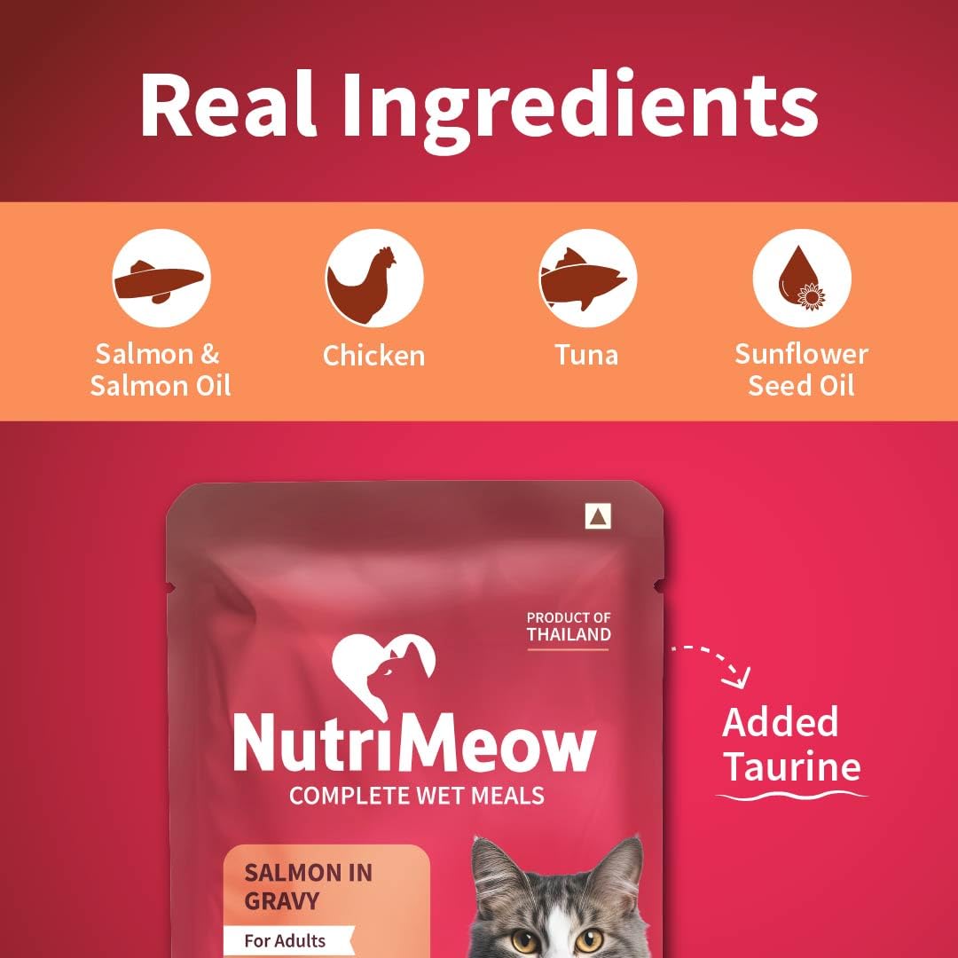 NutriMeow Salmon in Gravy Adult Cat Wet Food - 80gm | Delicious & Healthy Cat Pouch | Protein-Packed, Nutritious & Balanced Meal | Suitable for Persian Cats & All Breeds