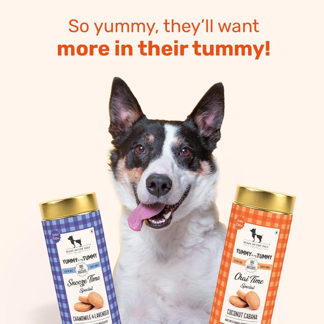 Yummy in My Tummy by HUFT Chai Time Coconut Dog Biscuits – 200 gm | Gluten-Free Vegetarian Crunchy Treats for Puppies & Adult Dogs | Healthy Snack | Suitable for All Breeds Dogs