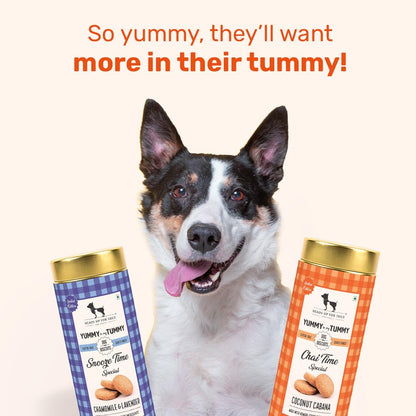 Yummy in My Tummy by HUFT Chai Time Coconut Dog Biscuits – 200 gm | Gluten-Free Vegetarian Crunchy Treats for Puppies & Adult Dogs | Healthy Snack | Suitable for All Breeds Dogs
