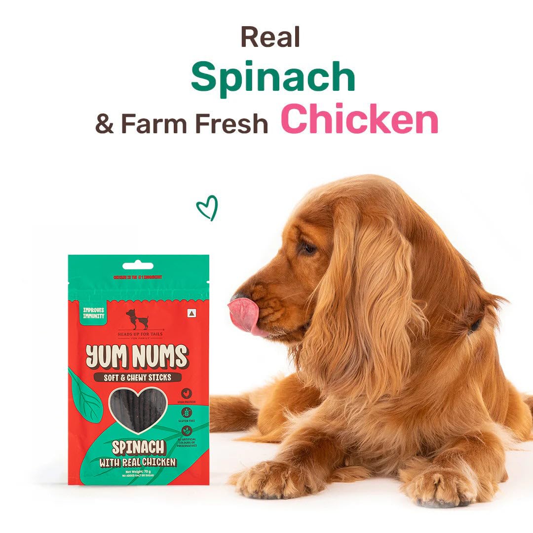Yum Nums by HUFT Soft & Chewy Sticks - 70 gm | Spinach with Real Chicken Dog Treats | Healthy Dog Snacks | Puppy Training Treats | Veg & Non-Veg Treats for Small & Adult Dogs