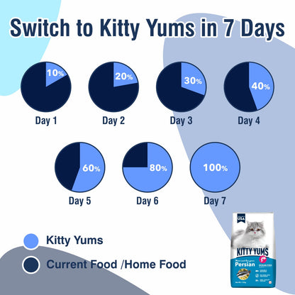 Kitty Yums Adult Persian Dry Cat Food 1.2kg Pack | Ocean Fish Flavour | Develop Strong Bones | Strong Immune System | Strong Vision Development Support Digestive Health