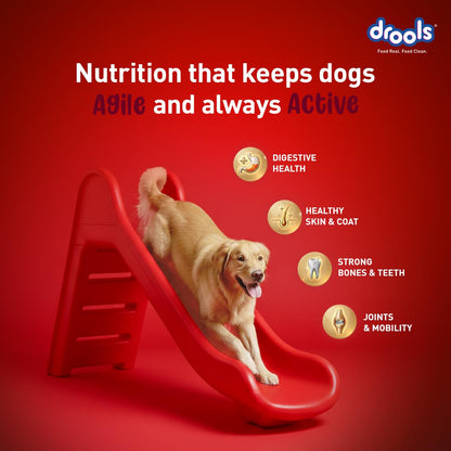 Drools Adult Dry Dog Food 1kg | Lamb and Rice Flavour | Supports Skin Nourishment and Coat Radiance | Promotes Healthy Digestion | Natural Antioxidants | Strengthen Immunity