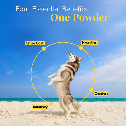 Winni Skin & Coat Supplement for Dogs | Supports Healthy Skin, Coat Shine & Natural Immunity | Chicken Flavor | Suitable for Puppies, Adult & Senior Dogs | Natural Formula | 120g