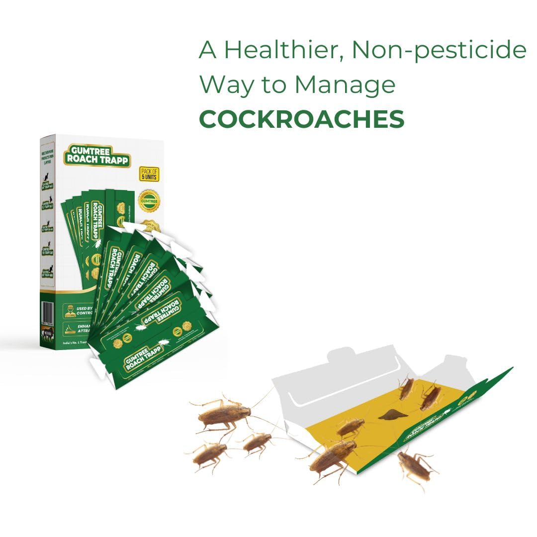 Gumtree Roach Trapp – Pack of 5 | Eco-Friendly, Non-Toxic Cockroach Trap with Bait & Repellent | Powerful Roach Killer for Kitchen, Room, Bathroom, Pantry | Safe Cockroach Control, Kids & Pet Friendly