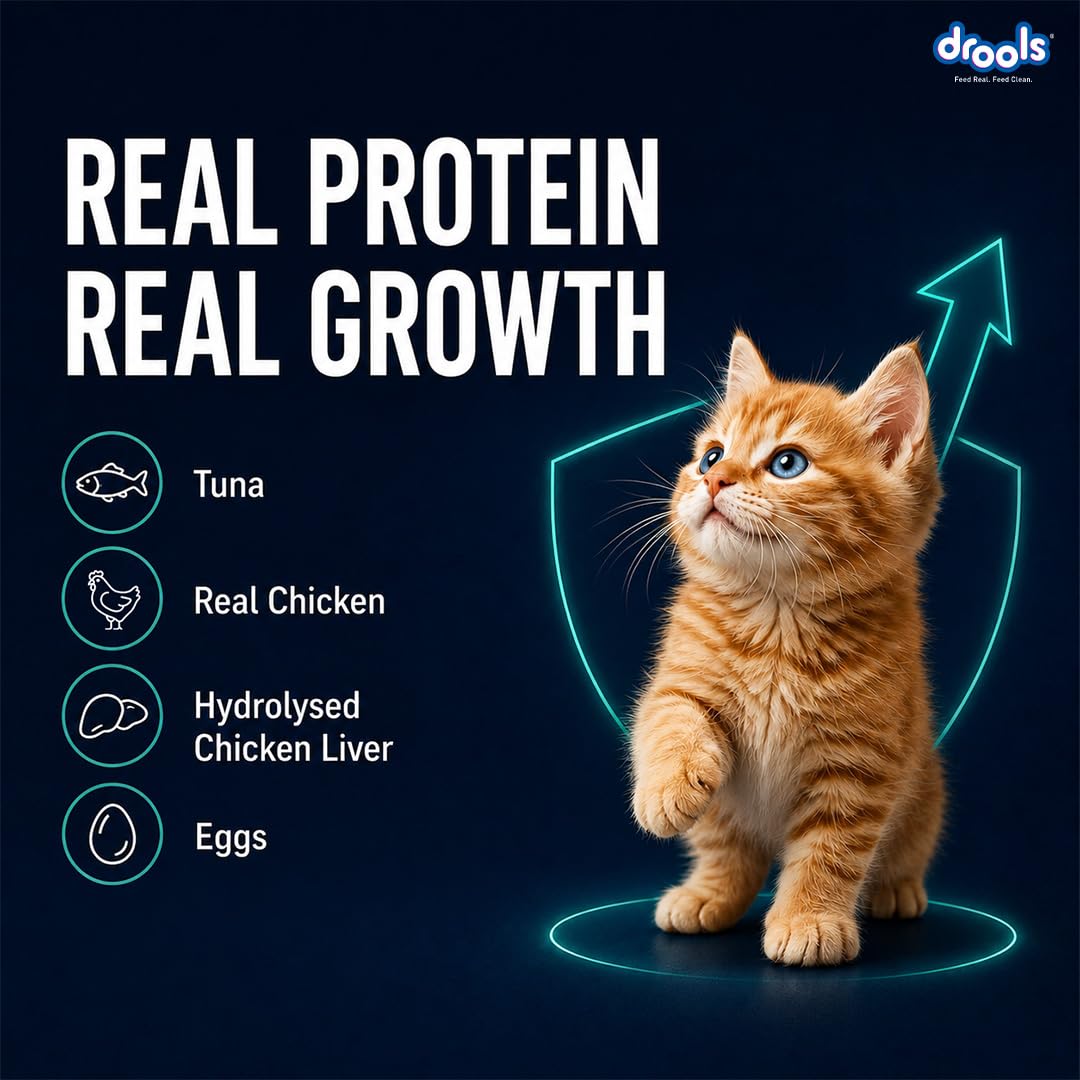 Drools Kitten Wet Mousse 80g | Tuna | High Protein | Promotes Hydration & Easy Digestion | Grain Free | No Artificial Additives | Enriched with Vitamins & Antioxidants
