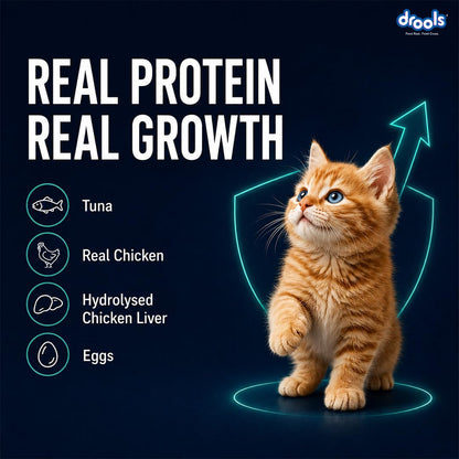 Drools Kitten Wet Mousse 80g | Tuna | High Protein | Promotes Hydration & Easy Digestion | Grain Free | No Artificial Additives | Enriched with Vitamins & Antioxidants