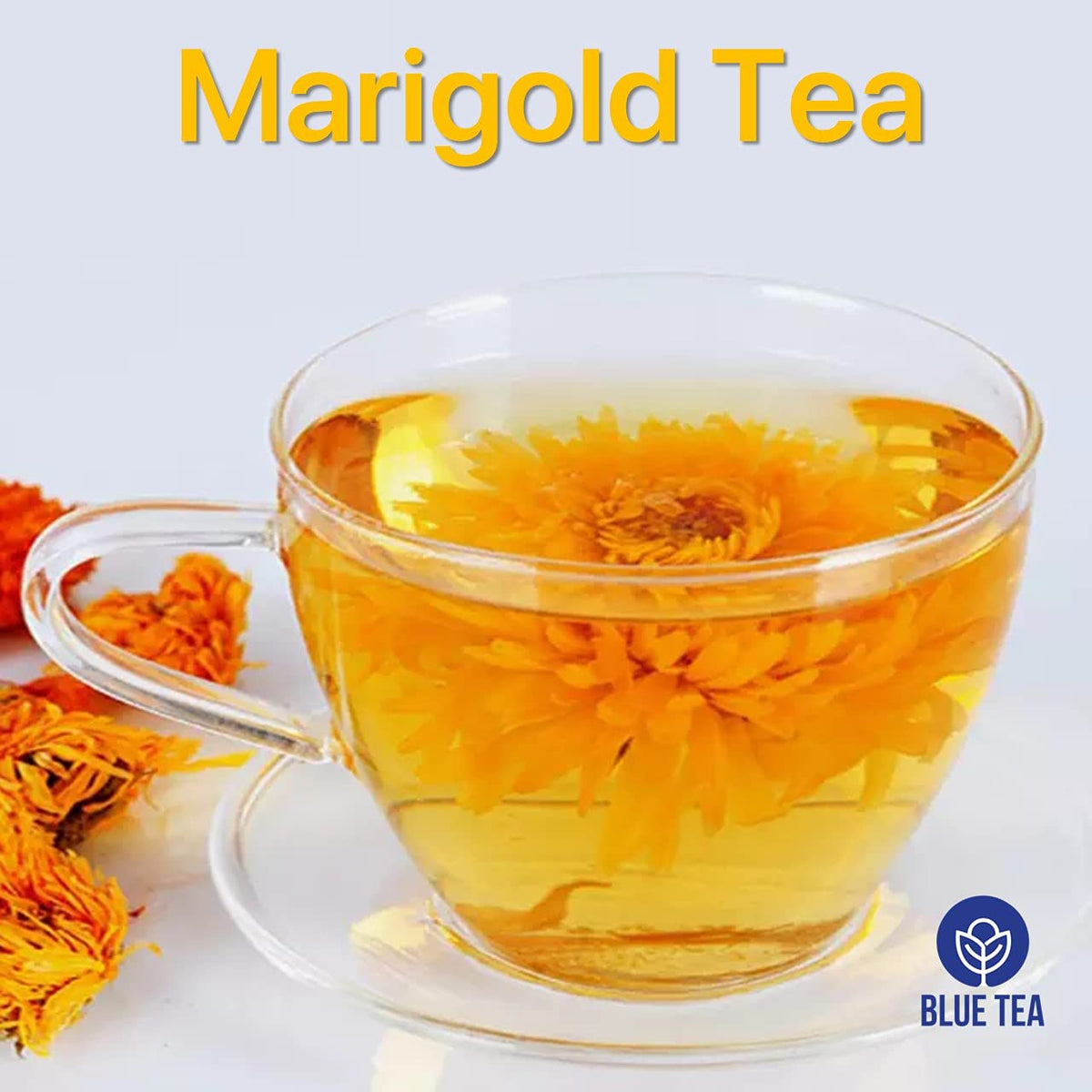 BLUE TEA - Marigold Tea - 25 gm - 25 cups | Natural Sun Dried Marigold Flower | RELIEVES PAIN | Caffeine Free - Flower Based - Herbal Tea - Non Bitter | Pet Jar