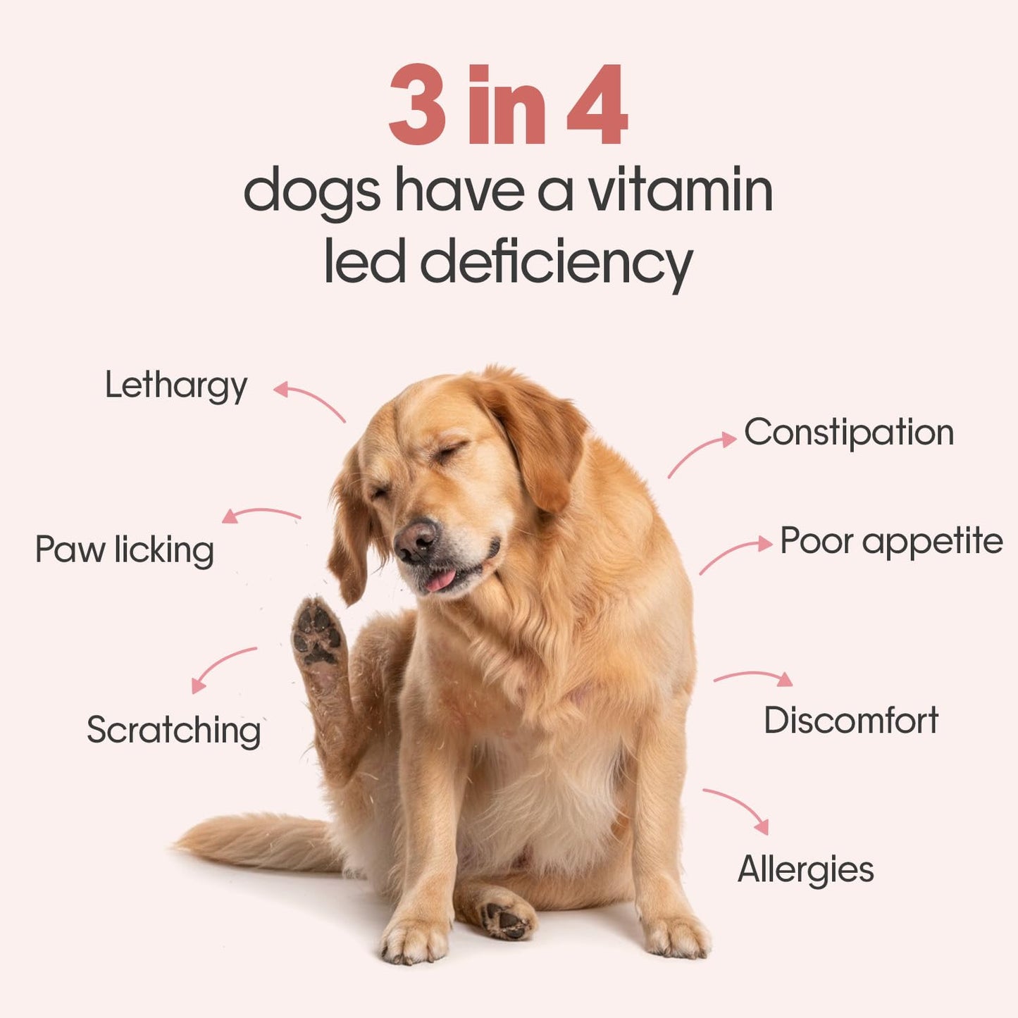 Hope All in One 14-in-1 Supplement Chews for Dog 60 Chicken hoplets |Multivitamins, Joint Support, Probiotics, Biotin, Omega 3 & 6| Pet Chews for Absolute Wellness | ColdPressed, Hypoallergenic