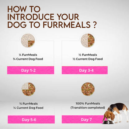 FurrMeals Wet Puppy Food | Chicken and Spinach | Pack of 1 x 300g | All Breed | Gluten Free | Preservative Free | Ready-to-Eat Fresh Dog Food