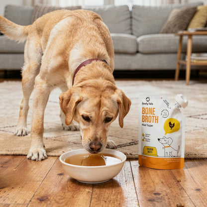 Goofy Tails Chicken Bone Broth for Dogs 100ml (100ml X 1 Pack), Human Grade, Preservative Free, Gut Friendly Dog Food Topper, Dog Supplements with Natural Collagen