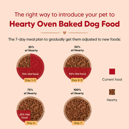 Hearty by HUFT Lamb & Blueberry Dry Dog Food – 250 gm | Adult Dog Food with Superfoods | Oven-Baked Kibble | Complete & Balanced Pet Nutrition | No Artificial Flavours or Fillers