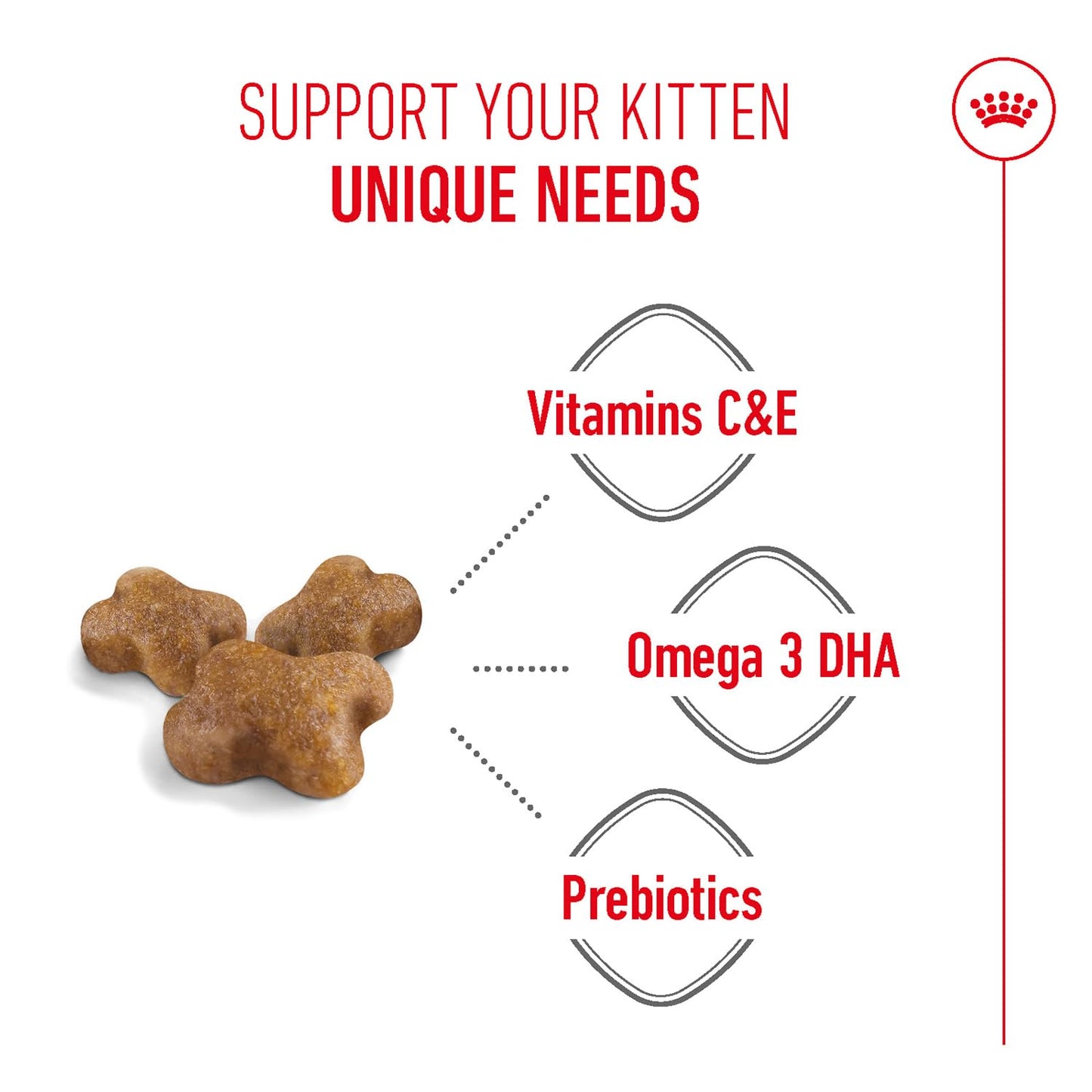 Royal Canin Second Age Kitten, Dry Food, 400 g | Antioxidants Support Brain Development, Microbiome Balance And Natural Immunity
