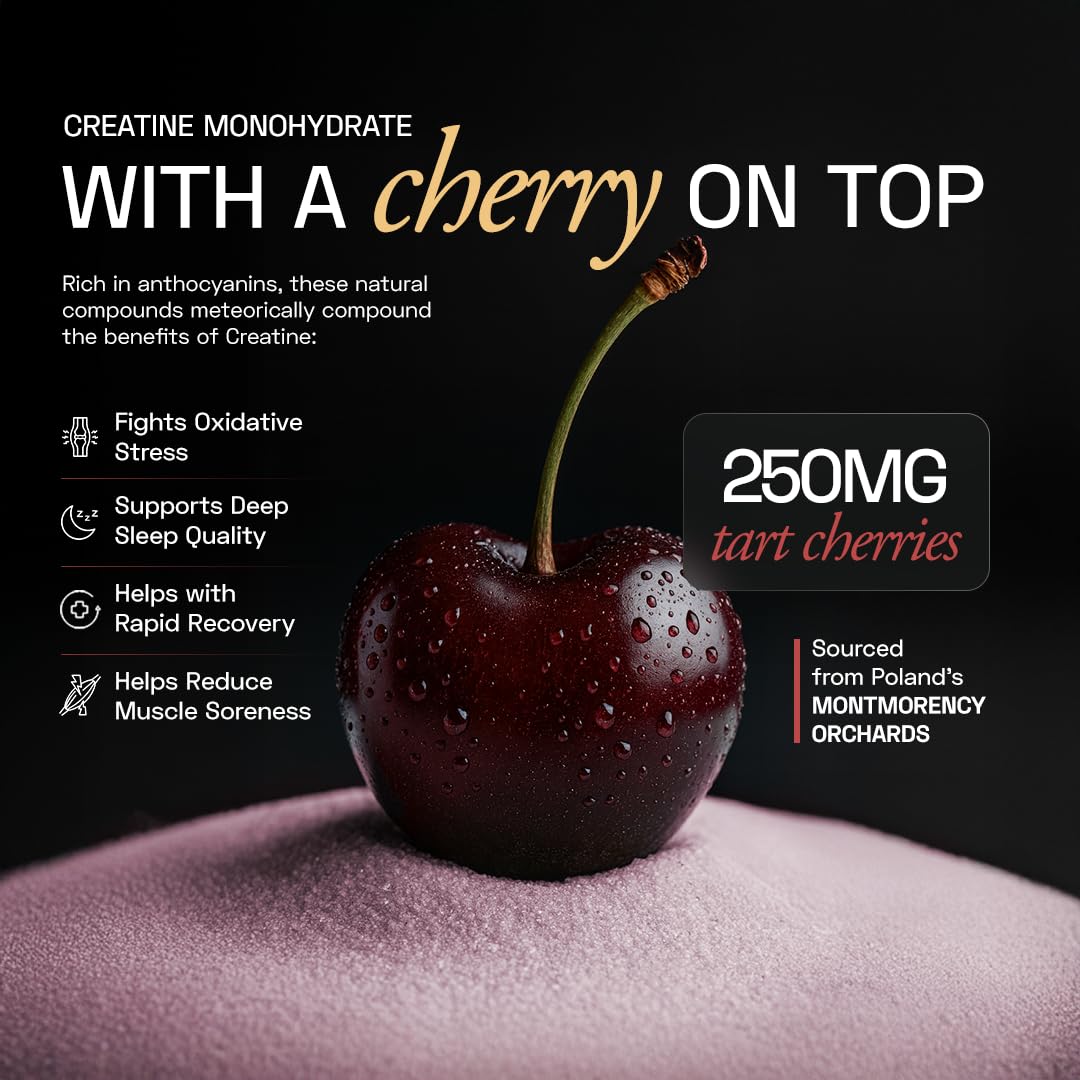 Ace Blend Micronised Creatine Powder 30 Servings | For Strength, Endurance And Recovery | Creatine Monohydrate | Big Muscle Protein Support | Tart Cherry Extract | 97.5 g