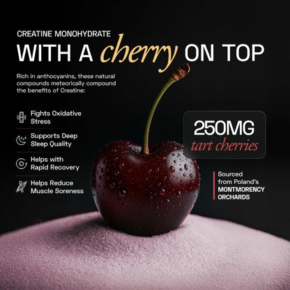 Ace Blend Micronised Creatine Powder 30 Servings | For Strength, Endurance And Recovery | Creatine Monohydrate | Big Muscle Protein Support | Tart Cherry Extract | 97.5 g
