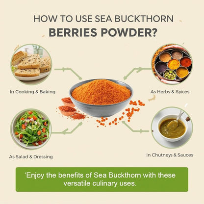Himaleh Seabuckthorn Berries Powder 200g | Rich in Vitamin C | No oil | Edible | Fiber, Omegas | Dry Sea buckthorn Himalayan Berry Powder | Pack of 1