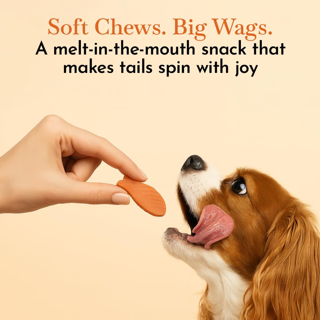PETS EMPIRE O'Dog Fish Shape Salmon Fillet, Healthy Dog Treats, Chewy Dogs Bites for Training and Feeding, Made with Real Salmon, Non-Vegetarian Pup Snacks for Dogs, Puppies - 100g