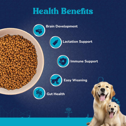 Carniwel Superfoods Starter Dry Dog Food 1 kg | 100% Vegetarian | Fresh & Natural Ingredients | Highly Palatable | GMO Free | Premium Nutrition for Large Dogs