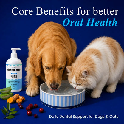 Petroyale Dental Care Water Additive for Dogs & Cats with Nano Silver | Dog Teeth Cleaner for Fresh Breath, Plaque & Tartar Control | Pet Dental Care, Dog Mouth Freshener, Pets Dental Care, 200 ml