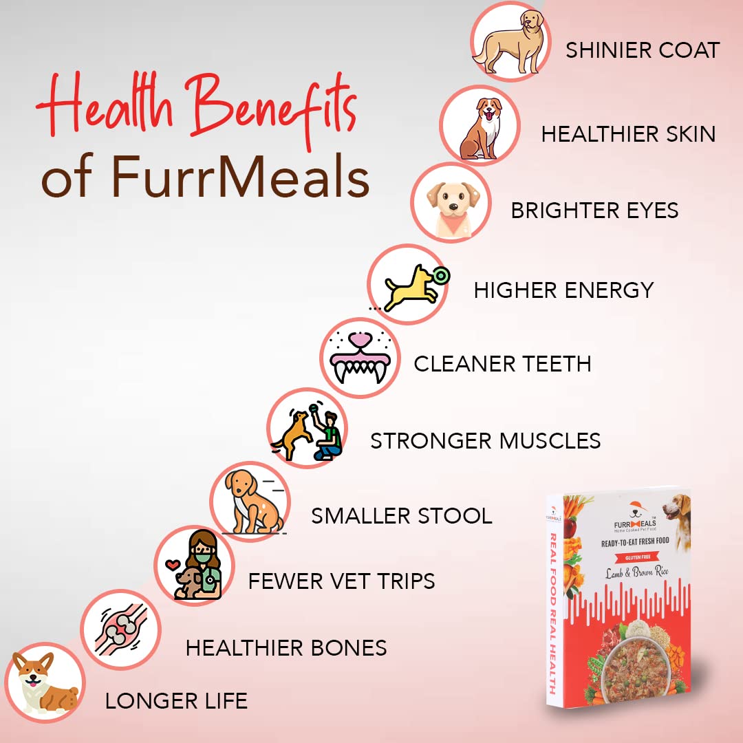 FurrMeals Wet Dog Food | Lamb and Brown Rice | Pack of 1 x 300g | All Breed | Gluten Free | Preservative Free | Ready-to-Eat Fresh Dog Food,Adult