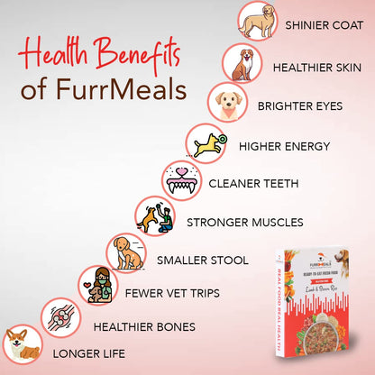 FurrMeals Wet Dog Food | Lamb and Brown Rice | Pack of 1 x 300g | All Breed | Gluten Free | Preservative Free | Ready-to-Eat Fresh Dog Food,Adult