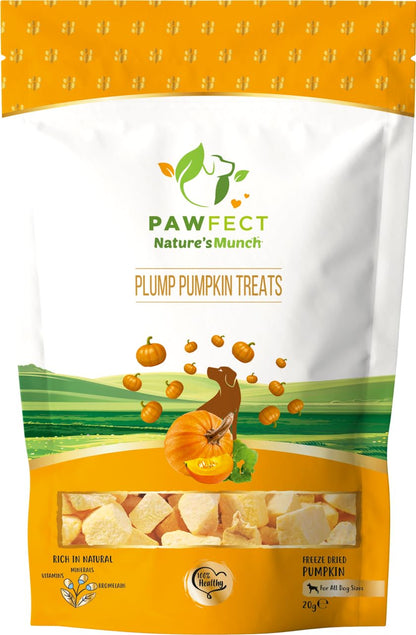 Pawfect Treats Nature's Munch Freeze-Dried Finest Pumpkin Treats for Dogs | Hypoallergenic Dog Treats, Grain-Free | Healthy Dog Treats (20 G),All Life Stages