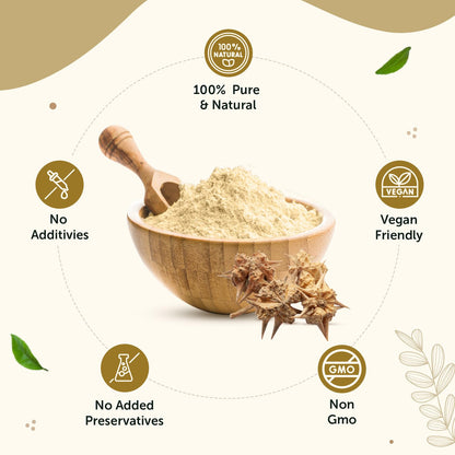 Neuherbs Gokshura Powder - 100g | Tribulus Terrestris/Gokhru Churna For Men | Boost Energy, Strength & Testosterone | 100% Pure & Natural | Non GMO With No Added Preservatives