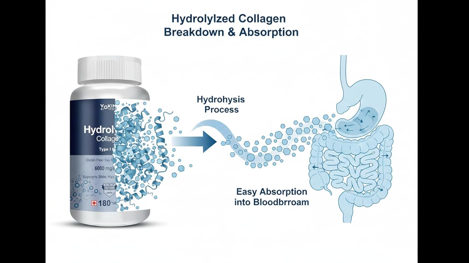 Hydrolyzed Collagen supplement bottle with a diagram of hydrolysis process and absorption into bloodstream.