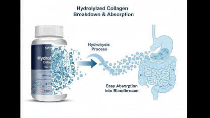 Hydrolyzed Collagen supplement bottle with a diagram of hydrolysis process and absorption into bloodstream.