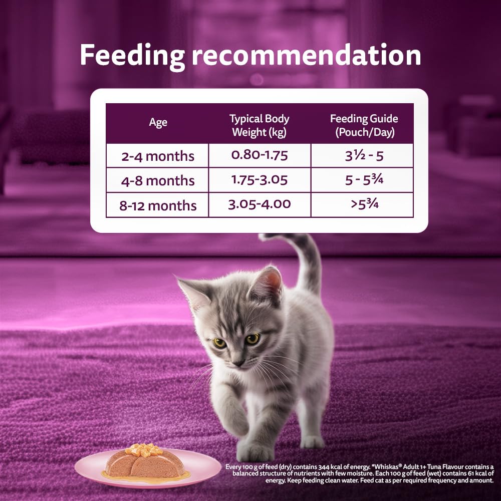 Whiskas Junior Kitten (2-12 Months) Wet Cat Food, Salmon in Jelly Flavour, 80 g, Hydrating Food Made with Real Fish, 100% Complete & Balanced Nutrition for Kittens