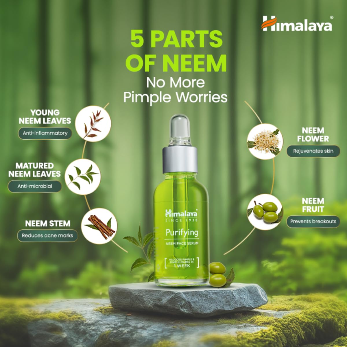 Himalaya Purifying Neem Face Serum | 2% Natural Salicylic Acid & Cica & Neem | Reduces Acne & Acne Marks | Tightens pores & soothes inflammation | Made with 98% Natural Origin Ingredients | Made for Acne prone skin | 15 ml