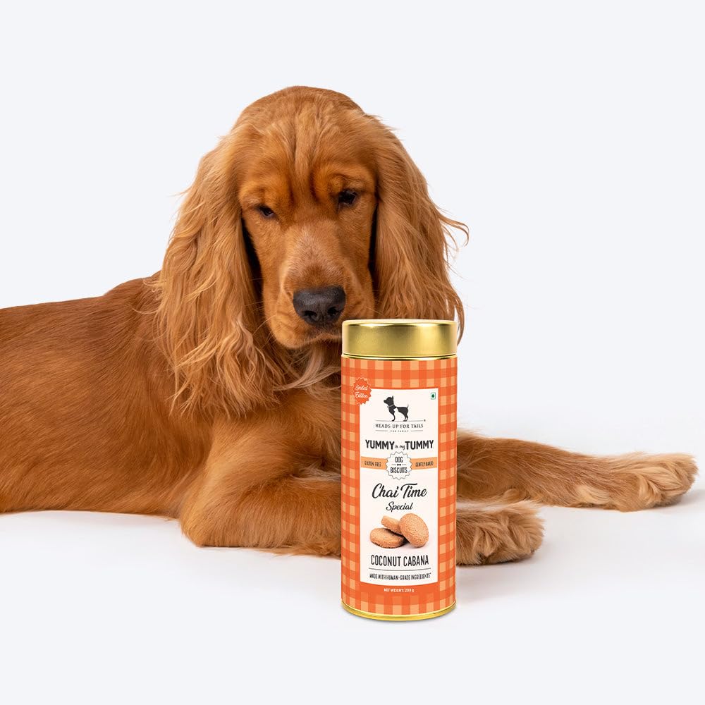Yummy in My Tummy by HUFT Chai Time Coconut Dog Biscuits – 200 gm | Gluten-Free Vegetarian Crunchy Treats for Puppies & Adult Dogs | Healthy Snack | Suitable for All Breeds Dogs