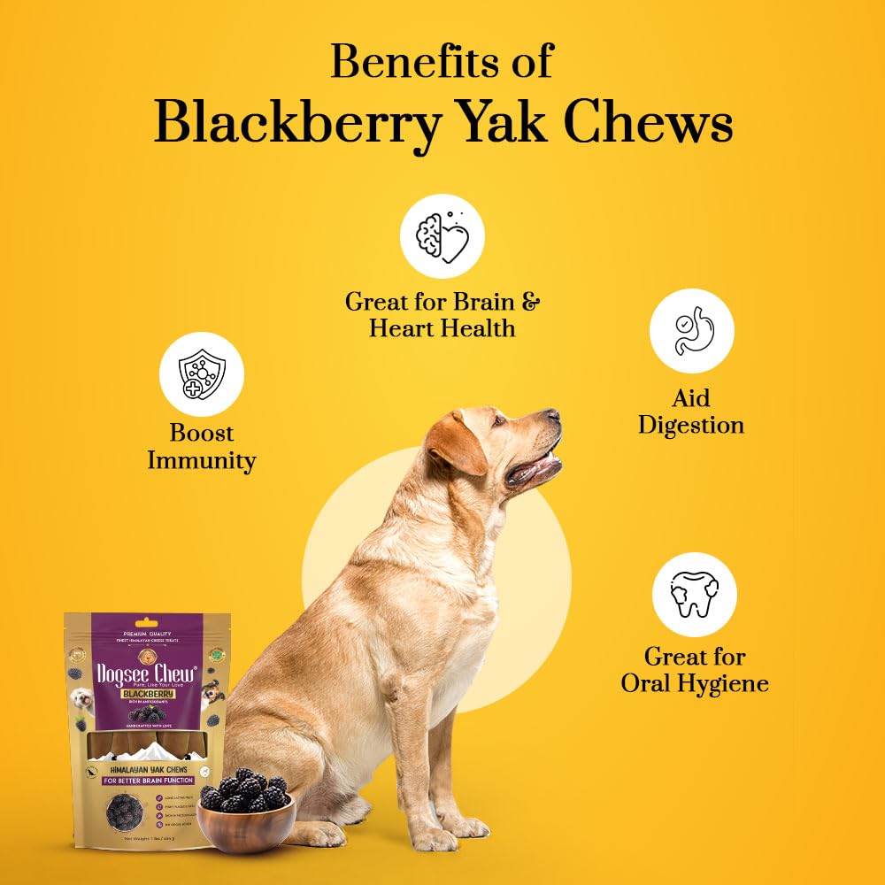 Dogsee Flavored Himalayan Yak Cheese Dental Chews for Dogs 140g (Medium - 2 Chews) | for Healthy Skin & Coat | No Grain, No Gluten | Odorless Dog Treats (Medium, BlackBerry)