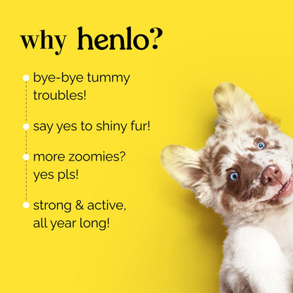 Henlo Baked Dry Dog Food For Puppies | 1Kg |100% Human-Grade Ingredients | Nutritionally Balanced Healthy Dog Food | Chicken Flavour | Suitable For All Breeds, 1 Count