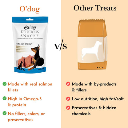 PETS EMPIRE O'Dog Fish Shape Salmon Fillet, Healthy Dog Treats, Chewy Dogs Bites for Training and Feeding, Made with Real Salmon, Non-Vegetarian Pup Snacks for Dogs, Puppies - 100g