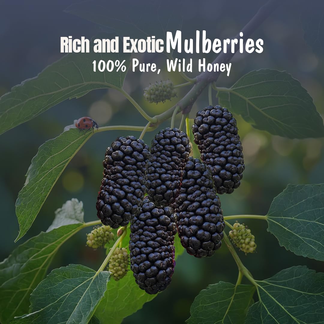 Eatopia Mulberry Honey Jam, 70% Berries, Pack of 1 (240g)